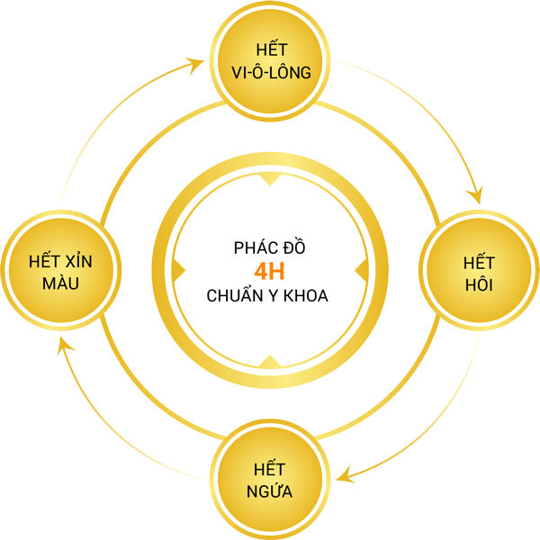 phác đồ 4H chuẩn y khoa