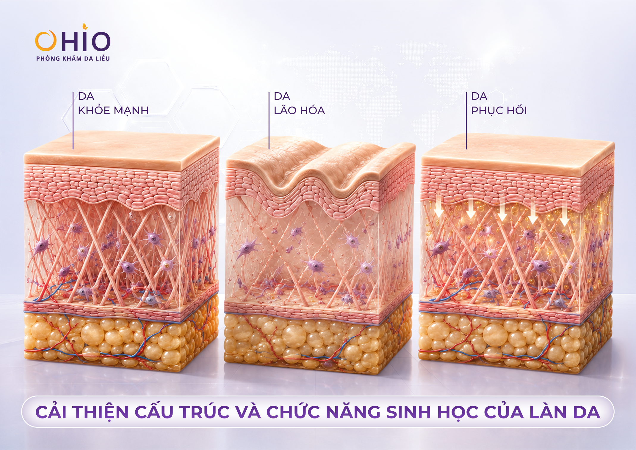 Thẩm mỹ nội khoa là gì? Giải đáp từ BS CKI Đoàn Thị Hồng Nhung